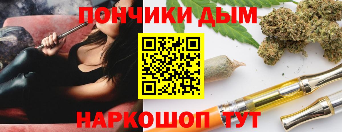 Канабис сатива Кузнецк