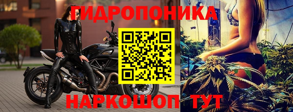 Кузнецк  МАРИХУАНА Amnesia  Вход с VPN  МАРИХУАНА MAZAR 